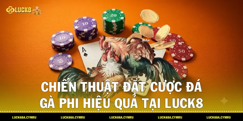 chiến thuật đặt cược Đá gà Phi hiệu quả tại Luck8