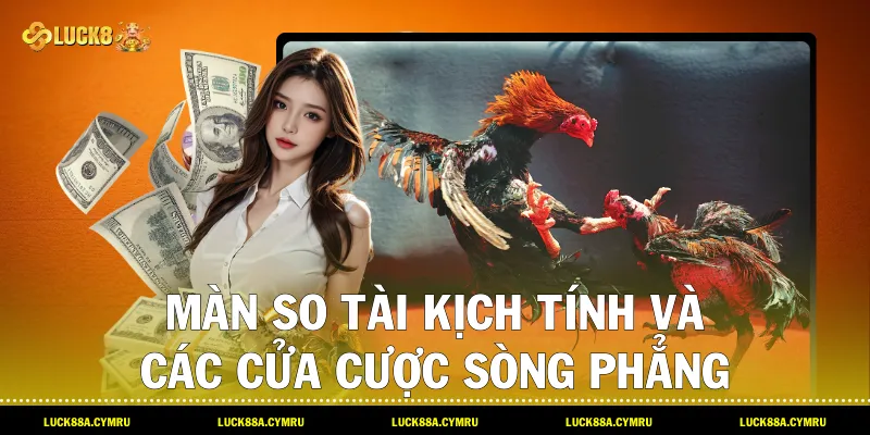 Màn so tài kịch tính và các cửa cược sòng phẳng trong sảnh Đá gà thomo cùng Luck8